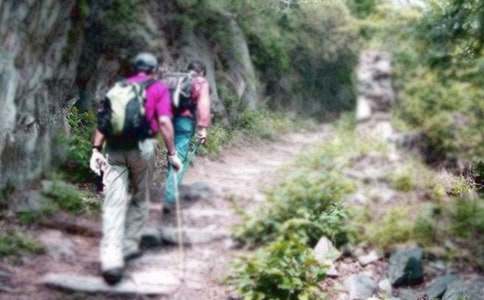 爬山虎作文(精选115篇)