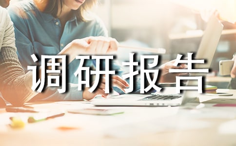 农村基层调研报告范文