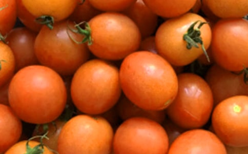 ������̫���������