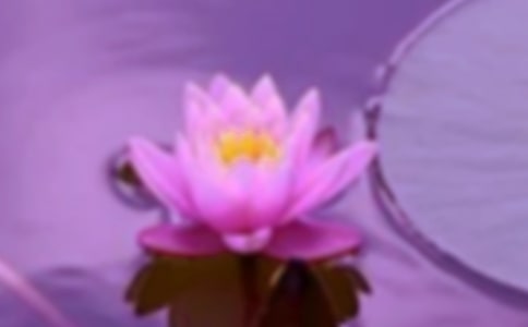 建设和谐社会的感想