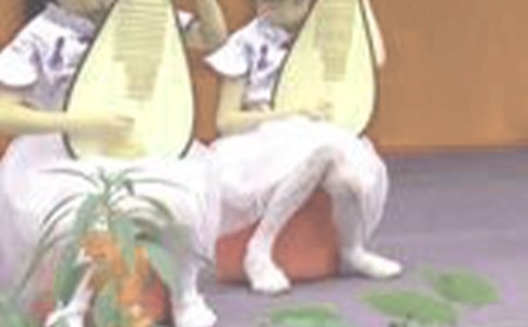 月光琵琶语诗歌