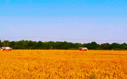 春种秋收励志的诗句