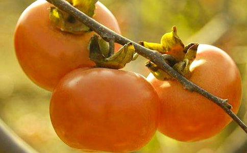 ժ�������ġ���Ʒ��