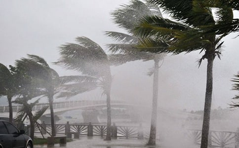 台风来了作文范例【15篇】