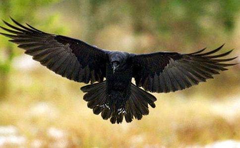 ��ѻ��ˮ�±�����[ͨ��9ƪ]