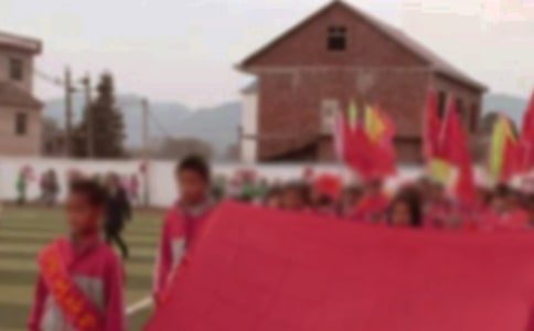 小学运动会通讯稿15篇(集合)